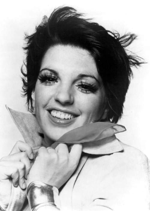 Liza Minnelli as seen in a studio publicity photograph, c.  1973